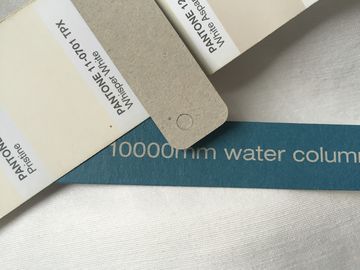 Di Recyclabel dell'abbigliamento di caduta delle etichette della camicia di caduta delle etichette funzione a forma di su ordinazione chiaramente
