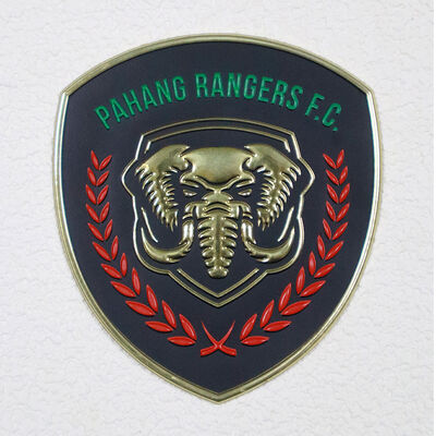 TPU Voltage Badge   Custom Team Logo Etichetta di trasferimento termico per Football Jersey & Sportswear