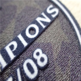 L'abbigliamento su ordinazione di forma del cerchio rattoppa il trasferimento di calore molle Tatami che si affolla con il logo del campione
