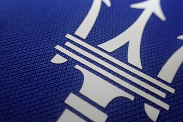 Il trasferimento di calore su ordinazione dell'inchiostro di logo rattoppa le etichette per la camicia di polo, vestiti del tessuto di sport