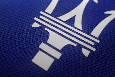Il trasferimento di calore su ordinazione dell'inchiostro di logo rattoppa le etichette per la camicia di polo, vestiti del tessuto di sport