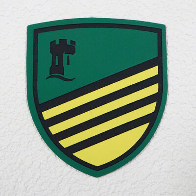 Etichetta stampata su schermo di silicone personalizzata Tag di logo resistente all'acqua per abbigliamento sportivo e uniformi